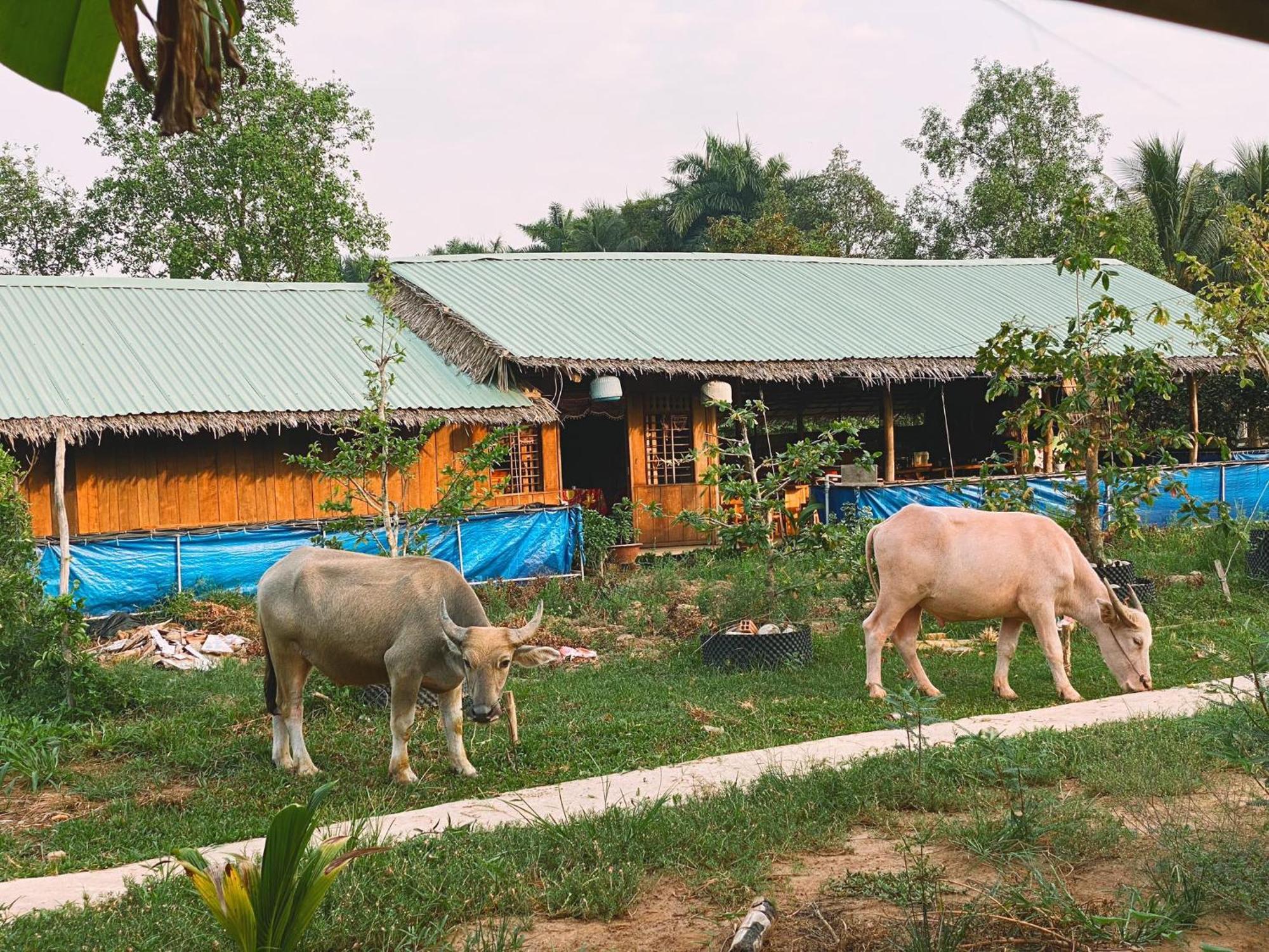 The Local Homestay Con Son Can Tho Dış mekan fotoğraf